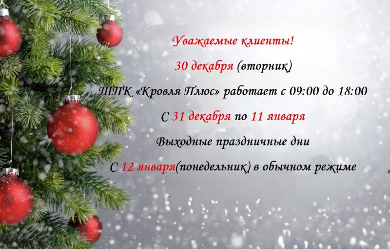Режим работы в новогодние праздники 2024-2025 гг.